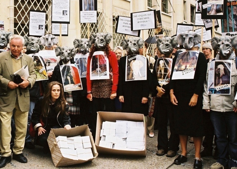 Signatures libération éléphant ministère écologie