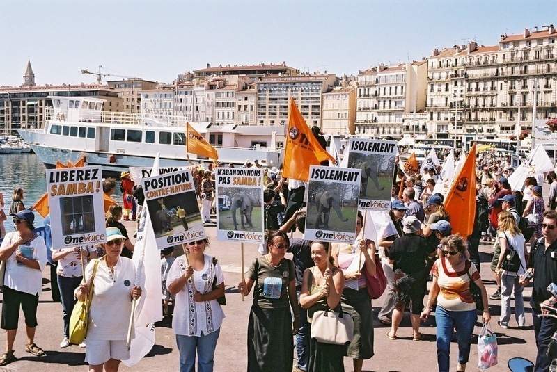 Manifestation marseille libération éléphant Samba