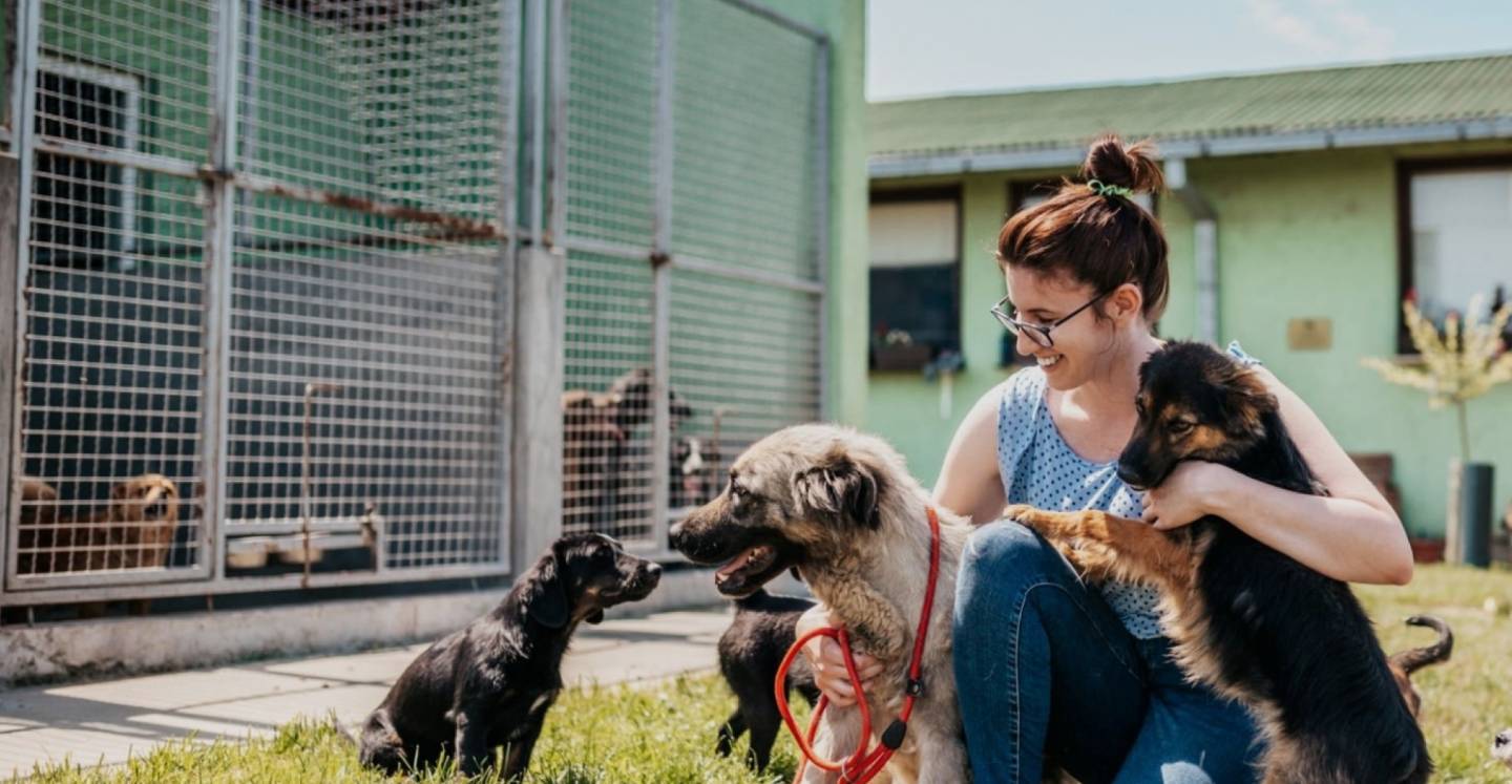 In France and abroad