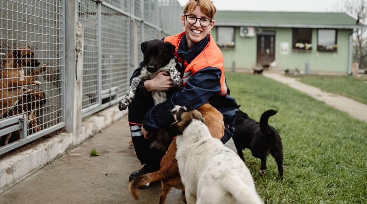 Adhérer à One Voice