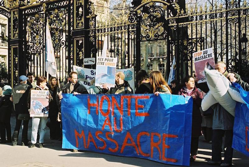 manifestation massacre dauphins