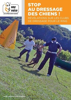 Stop au dressage des chiens