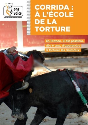 corrida ecole torture