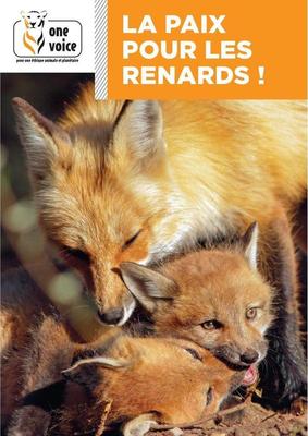 la paix pour les renards