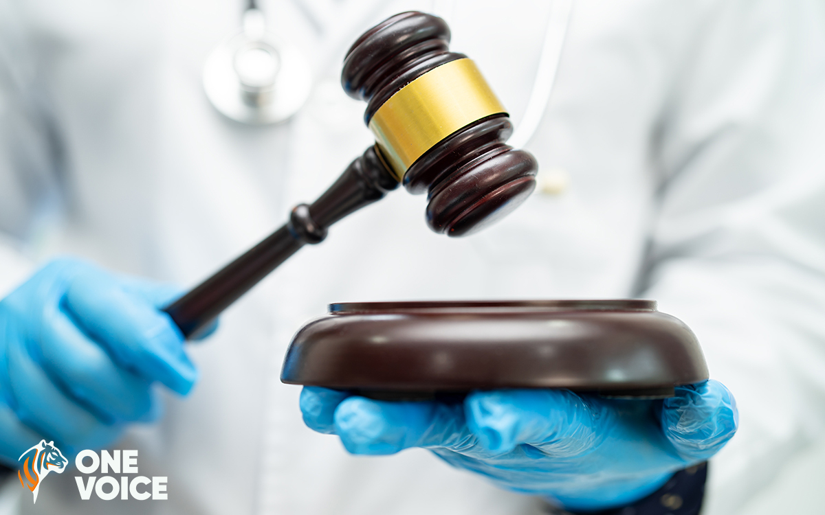 Expérimentation animale : vingt jugements demandent la transparence