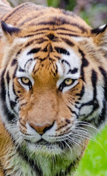 Notre mode de fonctionnement