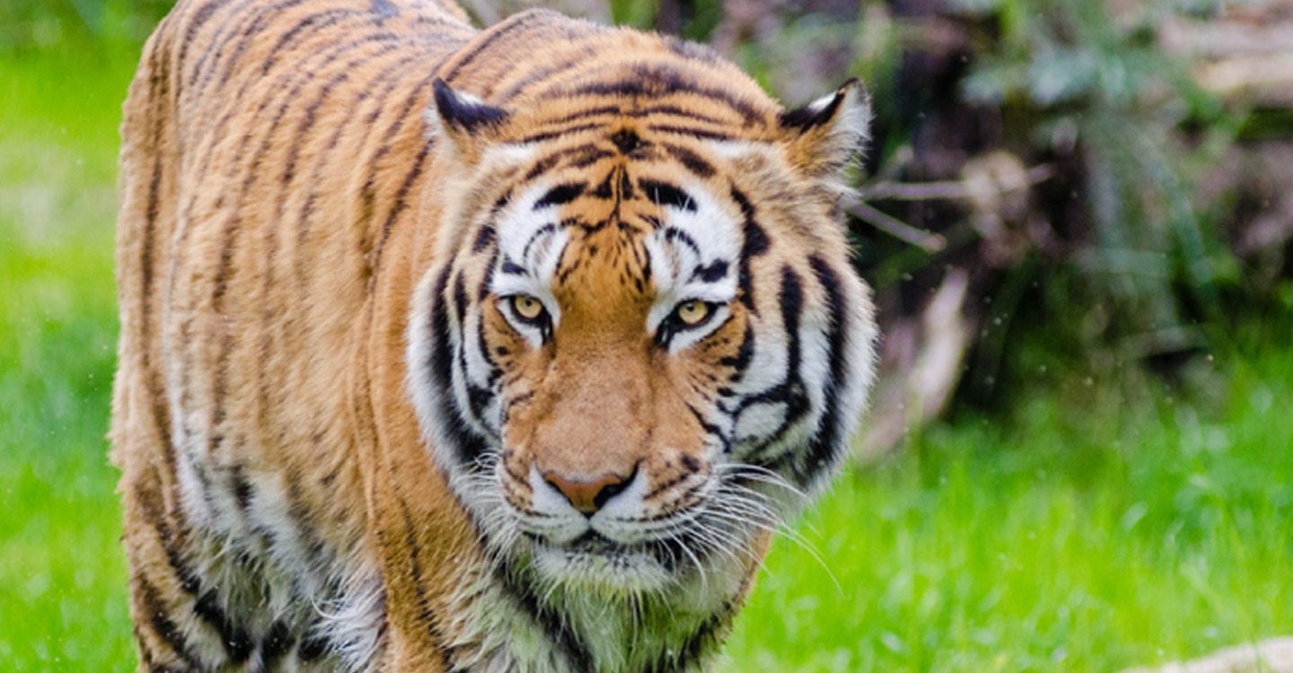 Notre mode de fonctionnement