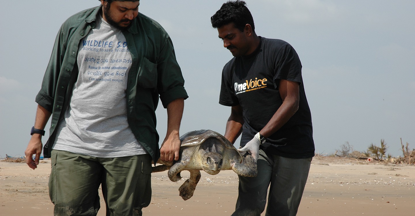 En france et à l’étranger