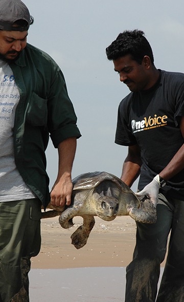 En france et à l’étranger