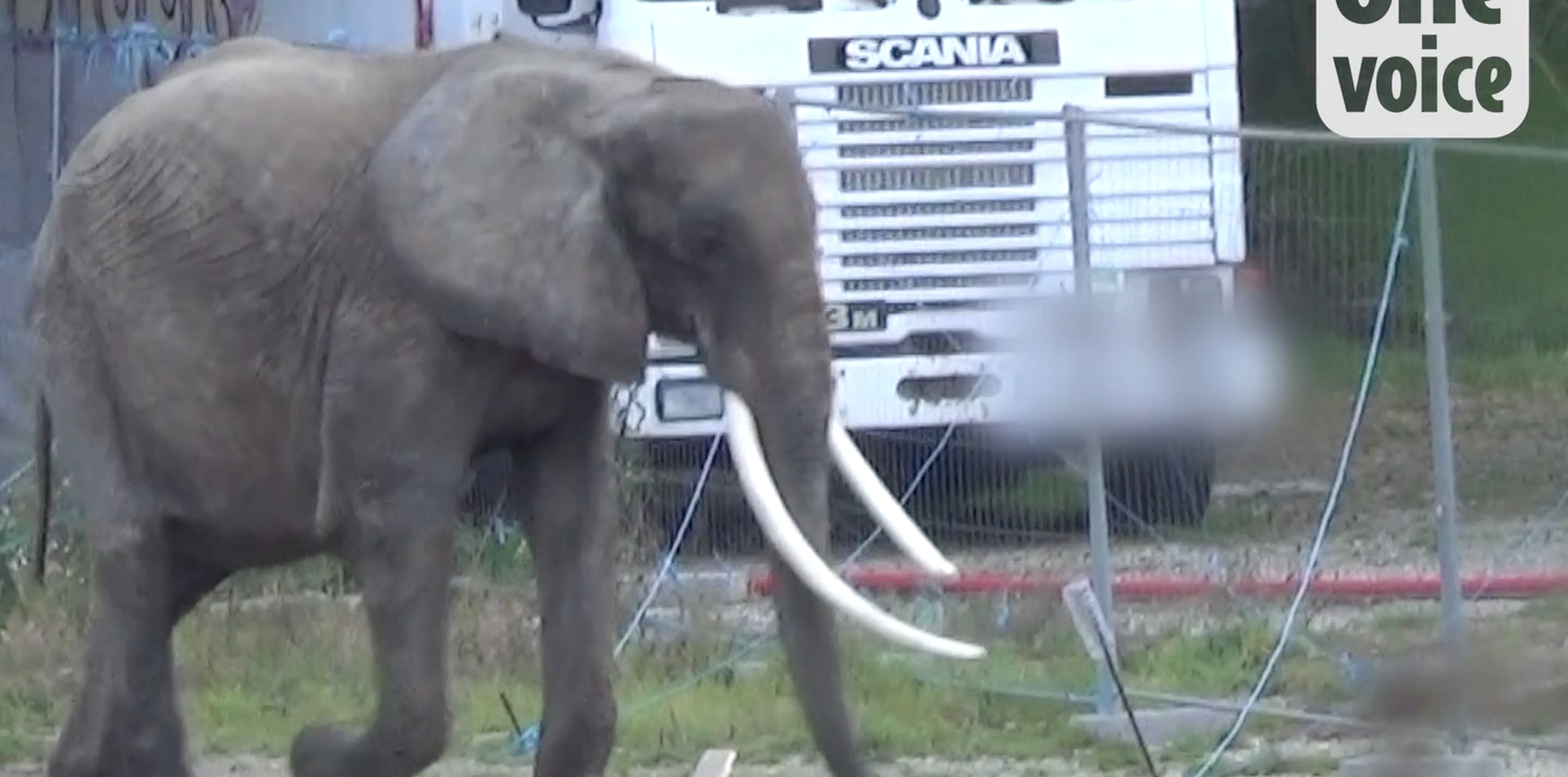 Baby, le confinement c’est toute sa vie. Dans un camion