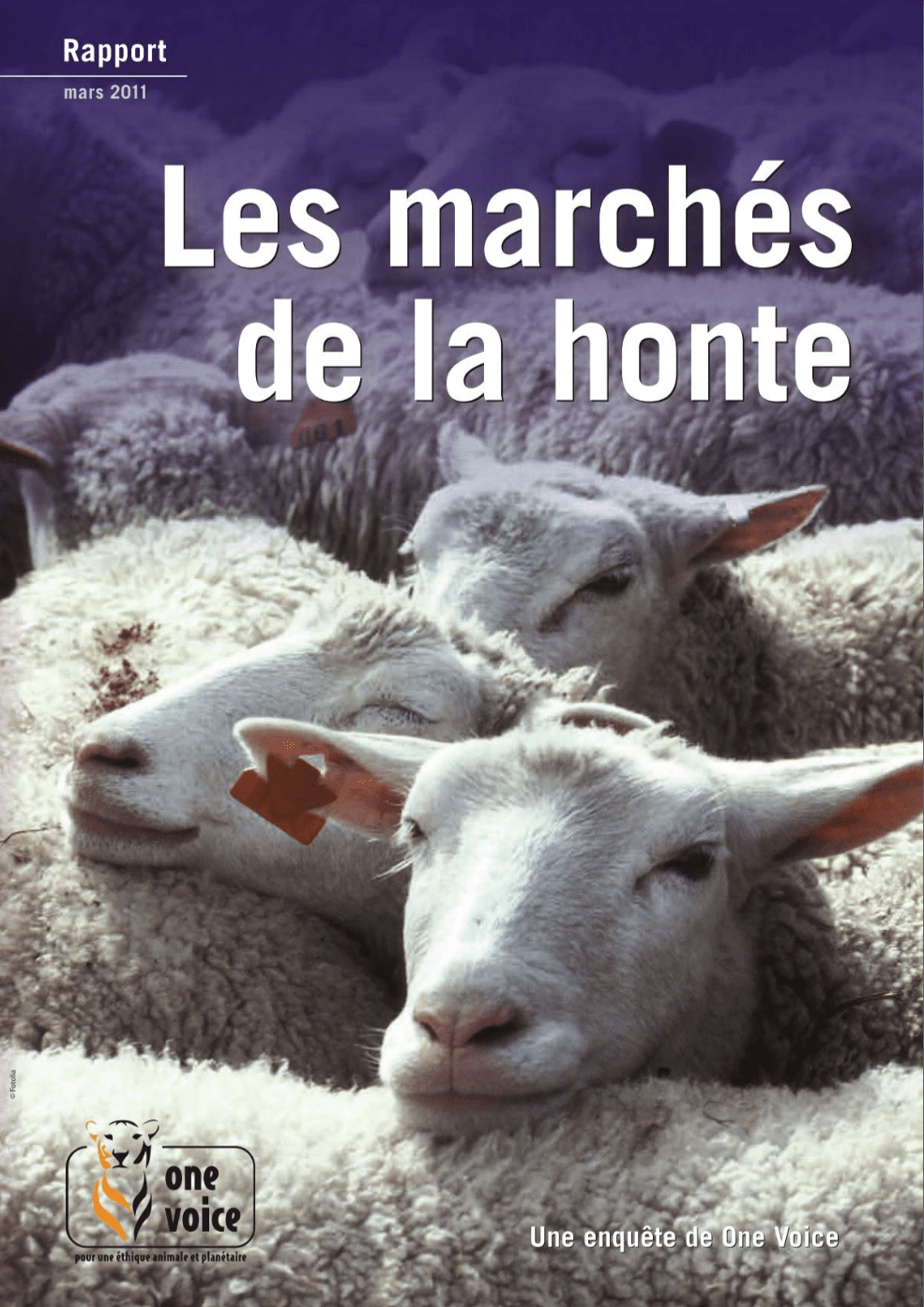 Les marchés de la honte