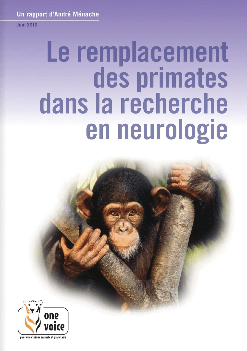 Le remplacement des primates dans la recherche en neurologie