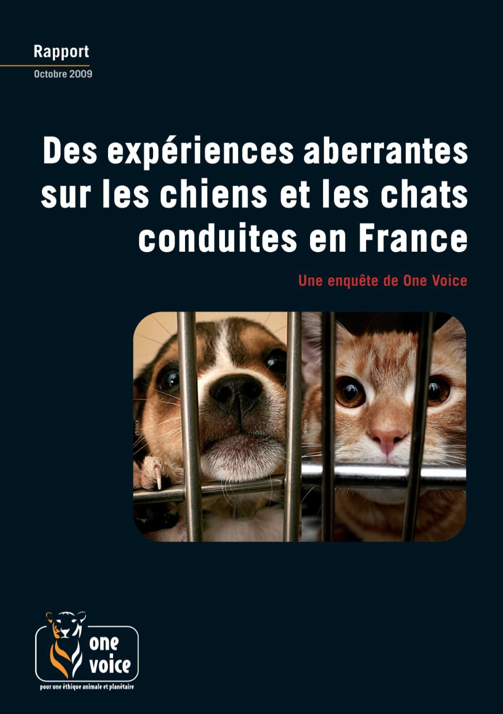 Des expériences aberrantes sur les chiens et les chats conduites en France