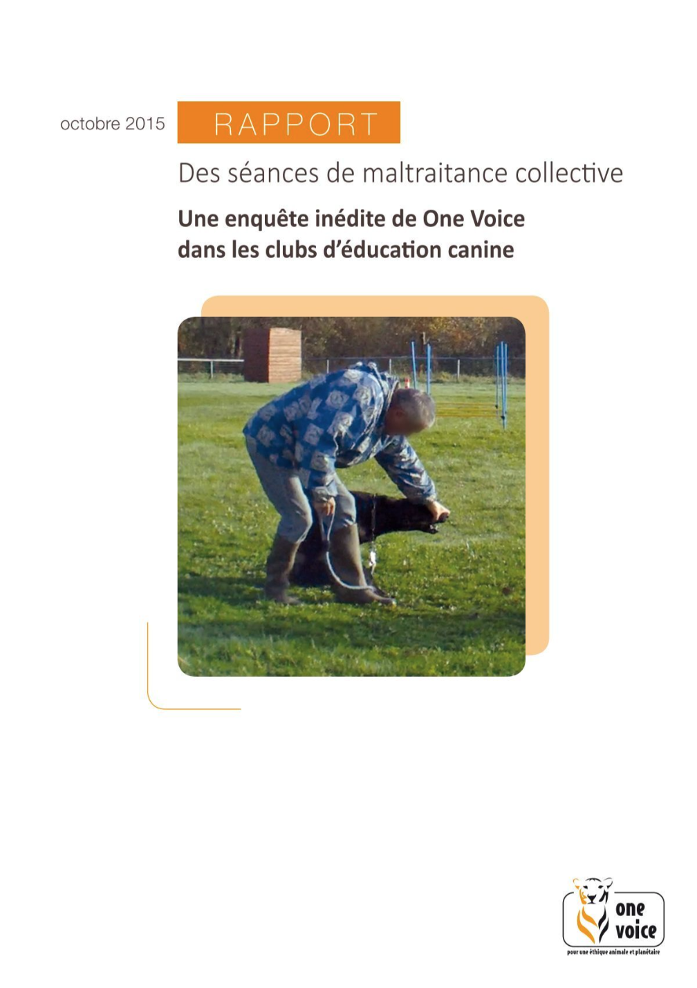 Des scéances de maltraitance collective