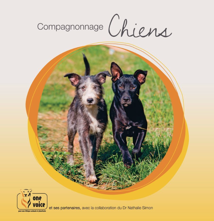 Compagnonnage Chiens