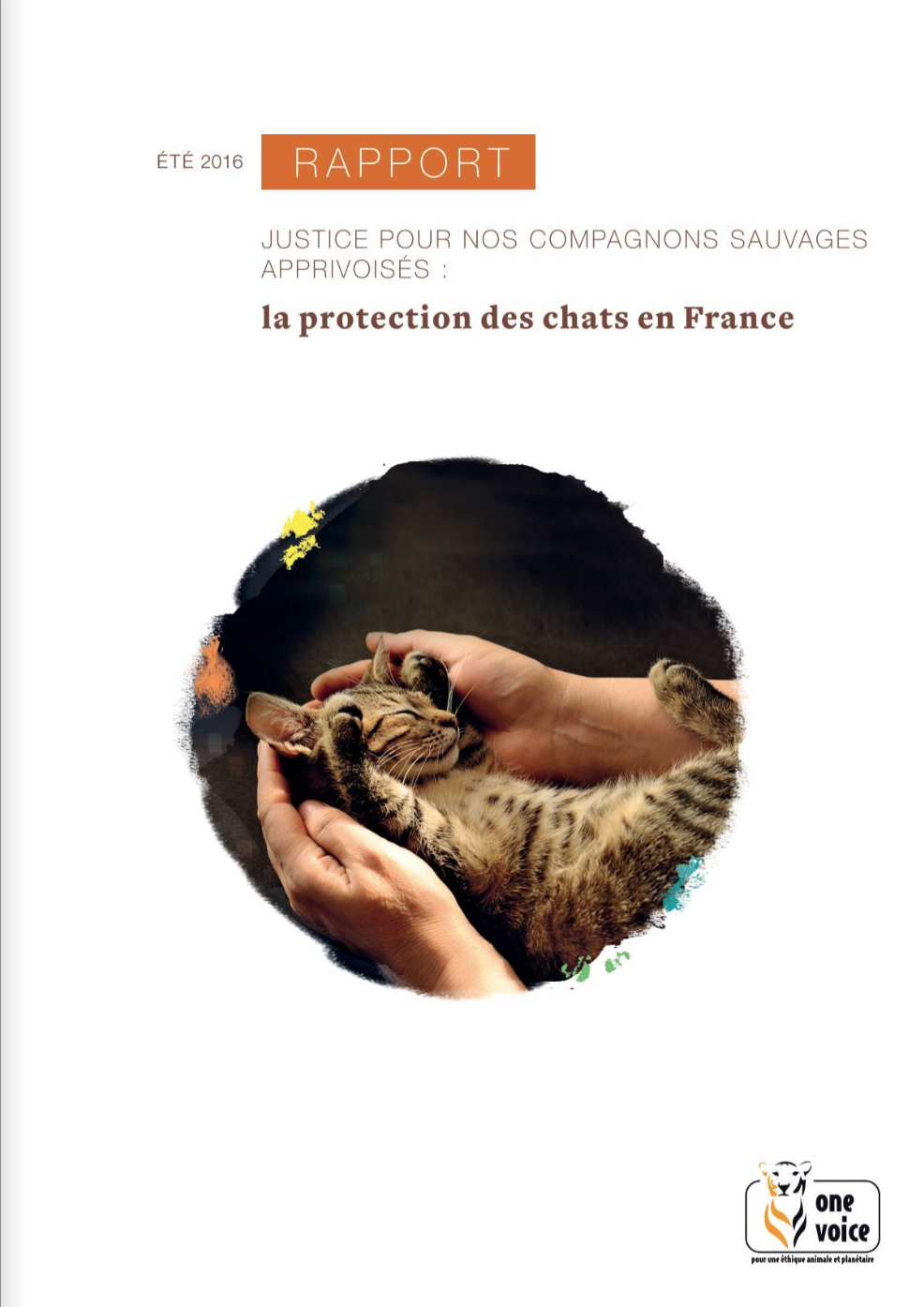 La protection des chats en France