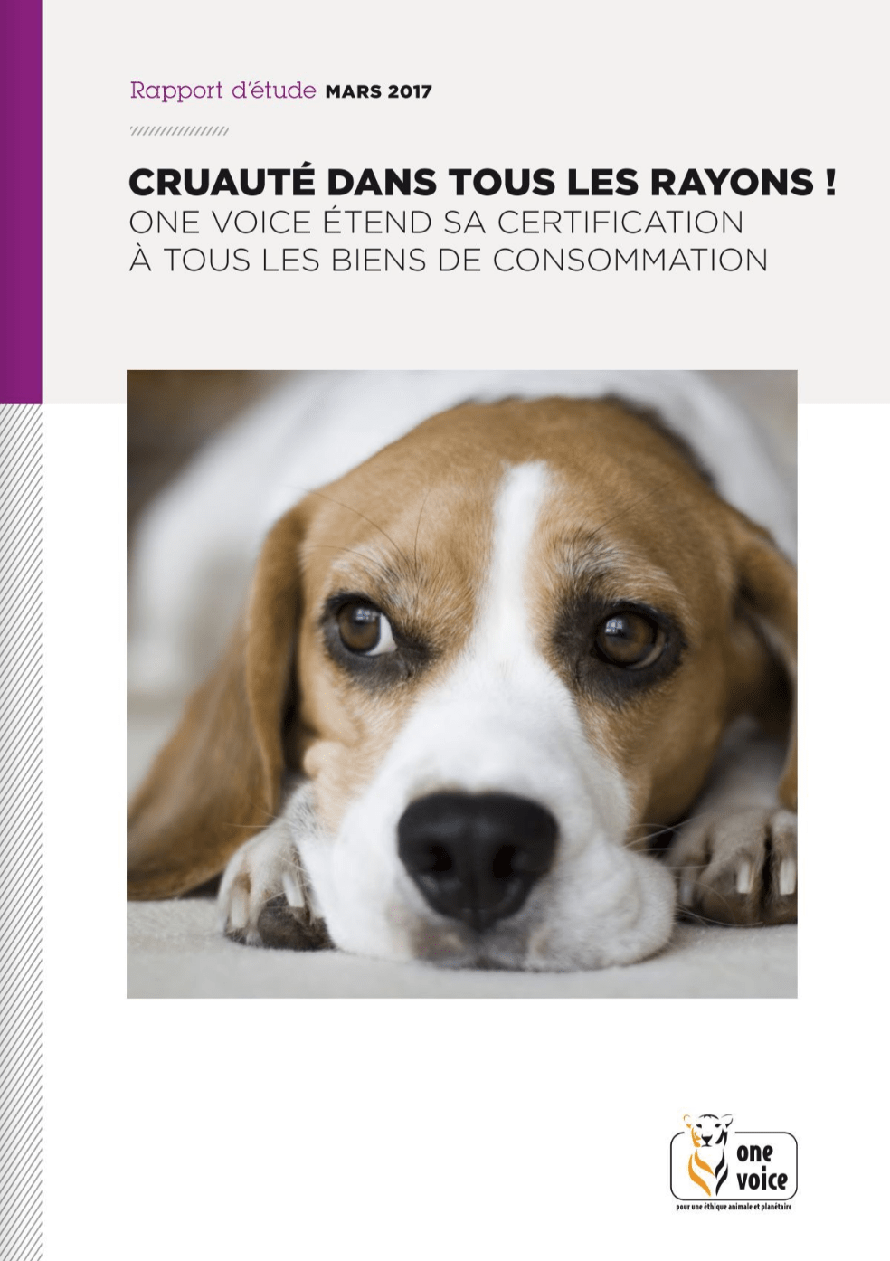 Cruauté dans tous les rayons !