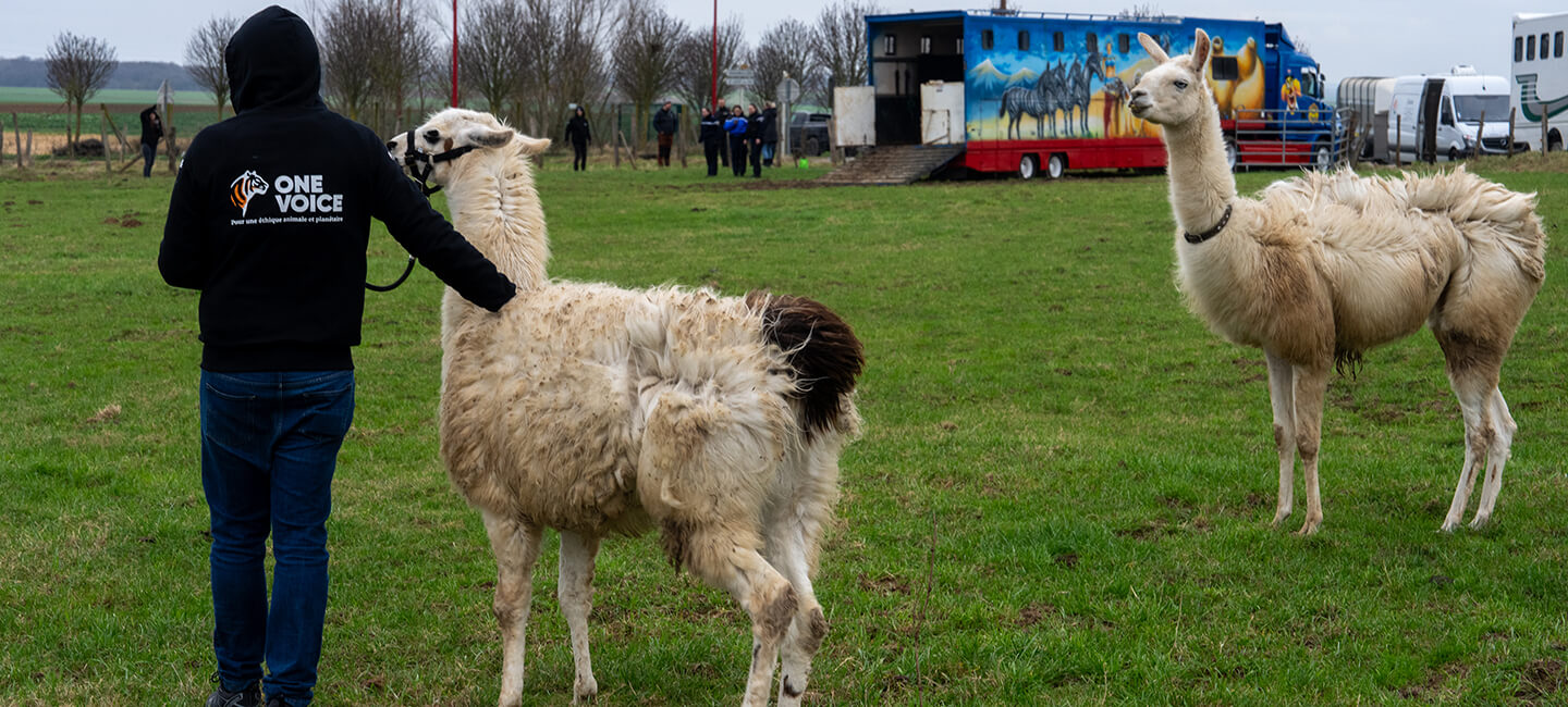 Donner en tant que particulier