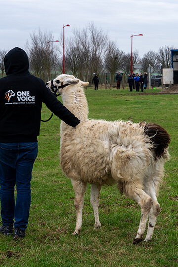 Donner en tant que particulier