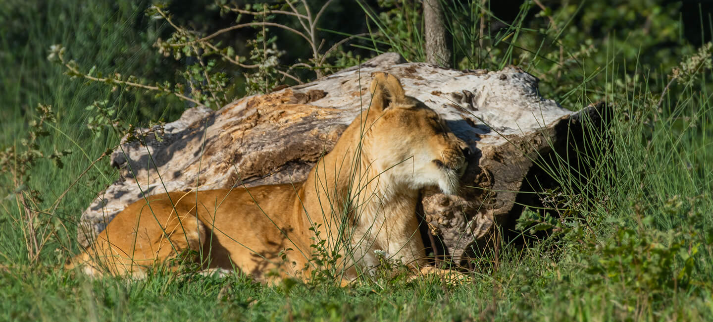 Don et mécénat d'entreprise
