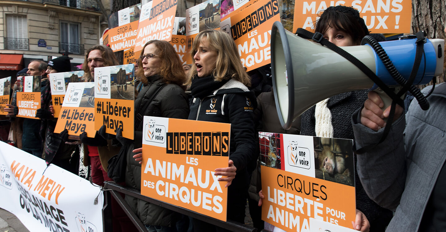 Nos modes <br> d'action