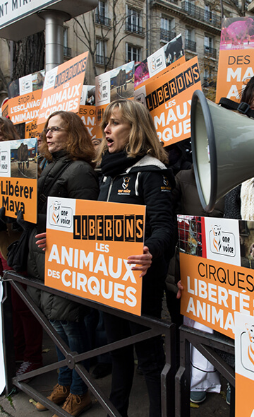 Nos modes <br> d'action